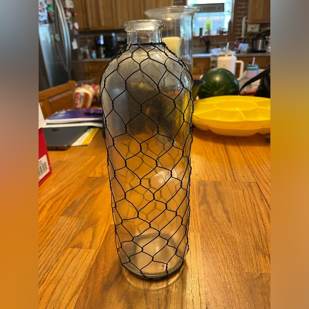Rustic Wire Glass Vase